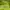 Lafuma Gorpcore Sportswear Jersey Wanita green photo 2