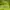 Lafuma Gorpcore Sportswear Jersey Wanita Green