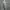 ZARA Streetwear Casual Harrington jacket Pria gray photo 3
