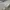 ZARA Streetwear Casual Harrington jacket Pria gray photo 4