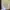 09WOMEN Casual Outerwear Kids yellow photo 1