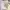 09WOMEN Casual Outerwear Kids yellow photo 2