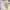 09WOMEN Casual Outerwear Kids Yellow