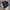Hanes Sportswear Casual Windbreaker Pria navy photo 1