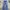 Lee Cooper Vintage Streetwear Jeans Pria Blue