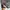 Dickies Streetwear Sweater Pria gray photo 5