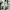 New Balance Streetwear Sportswear Sneakers Pria multicolor photo 2