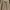 Luxury Coquette Fur coat Wanita white photo 4