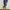 Patagonia Casual Casual dress Wanita multicolor photo 2
