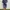 Patagonia Casual Casual dress Wanita multicolor photo 1