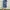Lowrys Farm Casual Casual dress Wanita white blue photo 2