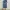 Lowrys Farm Casual Casual Dress Wanita White Blue