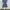Lowrys Farm Casual Casual dress Wanita white blue photo 1