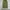 Uniqlo Vintage Y2K Jeans Pria green photo 1