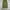 Uniqlo Vintage Y2K Jeans Pria green photo 3