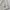 Oakley Casual Short Pria gray photo 4