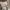 Converse Chuck Taylor All Star Rivals photo 5