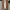 VANS Streetwear Y2K Sneakers Pria brown photo 5