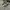 VANS Streetwear Y2K Sneakers Pria brown photo 3