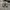 VANS Streetwear Y2K Sneakers Pria brown photo 1