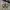 VANS Streetwear Y2K Sneakers Pria Brown