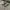 VANS Streetwear Y2K Sneakers Pria brown photo 2
