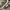 VANS Streetwear Y2K Sneakers Pria brown photo 7
