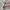 Casual Sweatshirt Pria multicolor photo 3