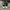 Converse Streetwear Y2K Sneakers Pria black photo 3