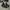 Converse Streetwear Y2K Sneakers Pria black photo 5