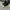 Converse Streetwear Y2K Sneakers Pria black photo 2
