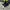 Converse Streetwear Y2K Sneakers Pria Black