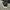 Converse Streetwear Y2K Sneakers Pria black photo 8