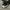 Converse Streetwear Y2K Sneakers Pria black photo 1