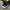 Converse Streetwear Y2K Sneakers Pria Black