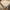 Levi's Streetwear Y2K Jeans Pria multicolor photo 7