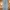 Levi's Streetwear Y2K Jeans Pria multicolor photo 4
