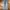 Levi's Streetwear Y2K Jeans Pria multicolor photo 3