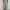 Levi's Streetwear Y2K Jeans Pria multicolor photo 2