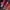Le Specs Sportswear Loafer Pria multicolor photo 2