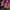 Le Specs Sportswear Loafer Pria multicolor photo 1