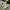 New Balance Streetwear Y2K Sneakers Pria Silver