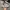New Balance Streetwear Y2K Sneakers Pria silver photo 1