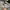 New Balance Streetwear Y2K Sneakers Pria Silver