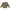 Crocodile Vintage Casual Sweater Pria Multicolor