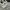 MLB Streetwear Futurist Sneakers Pria white blue photo 6
