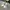 MLB Streetwear Futurist Sneakers Pria white blue photo 3
