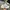 MLB Streetwear Futurist Sneakers Pria White Blue