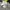 MLB Streetwear Futurist Sneakers Pria white blue photo 4