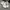 MLB Streetwear Futurist Sneakers Pria white blue photo 1